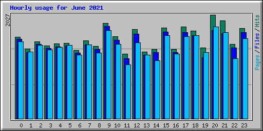 Hourly usage for June 2021