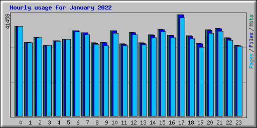 Hourly usage for January 2022