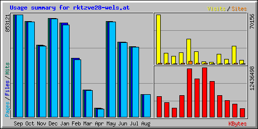 Usage summary for rktzve28-wels.at